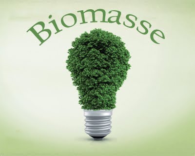 biomasse.jpg