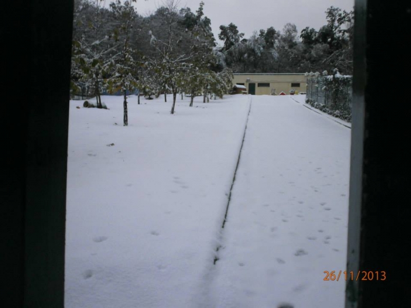 canile_neve1.jpg