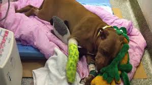 immagini di repertorio