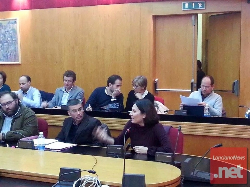 L'europarlamentare Daniela Aiuto