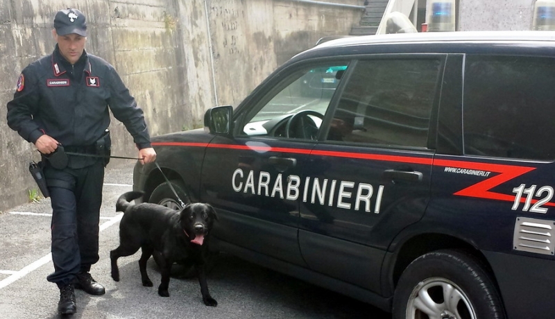 carabinieri-squadra-cinofila.jpg