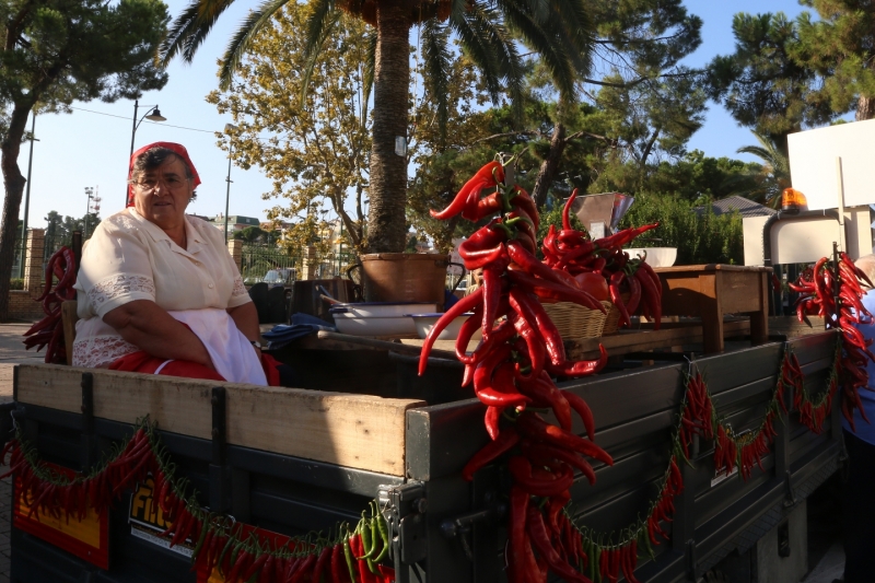 Foto Ass. SPS 6212 - Anna Maria Sala