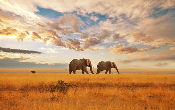 africa parchi naturali voyageprivé