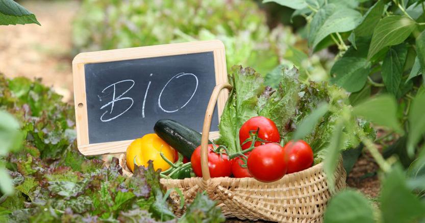 agricoltura-bio-kq9D--835x437@IlSole24Ore-Web.jpg